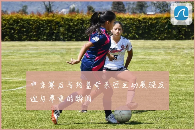 申京赛后与约基奇亲密互动展现友谊与尊重的瞬间