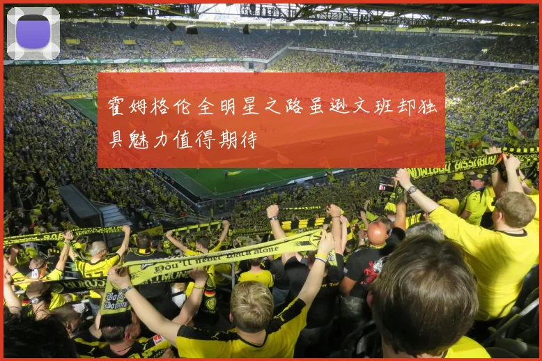 霍姆格伦全明星之路虽逊文班却独具魅力值得期待