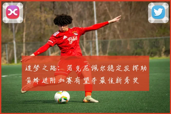 追梦之路：若克尼佩尔稳定发挥助黄蜂进附加赛有望夺最佳新秀奖